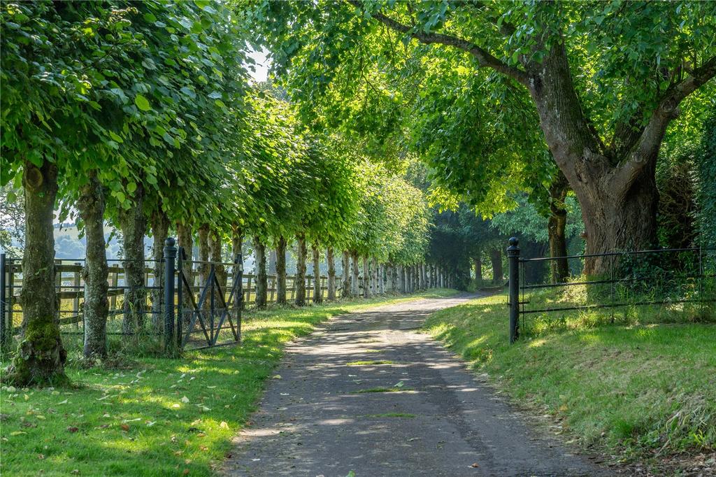 Rear Driveway