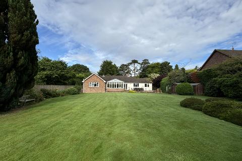 4 bedroom detached bungalow to rent, Trinity Hill, Medstead GU34