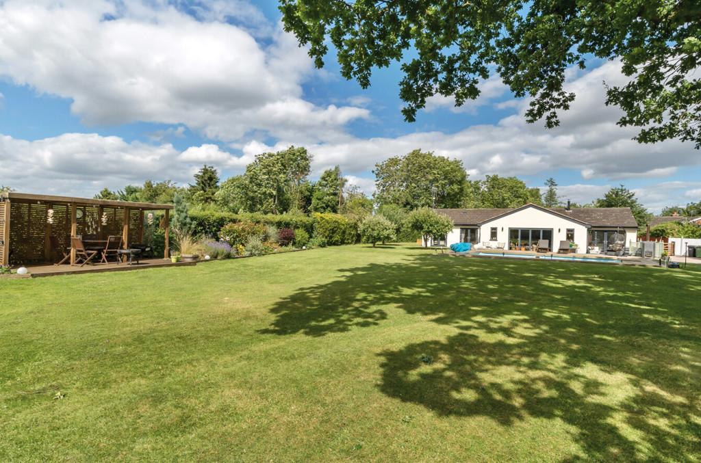1153529 (18).jpg