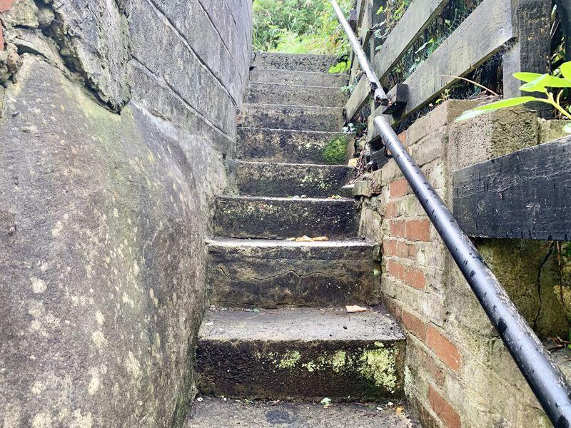 Rear Steps