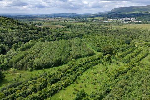 Land for sale, Lot 3 Woodland At Auchenstarry Farm, Auchinstarry, Kilsyth, Glasgow, North Lanarkshire, G65