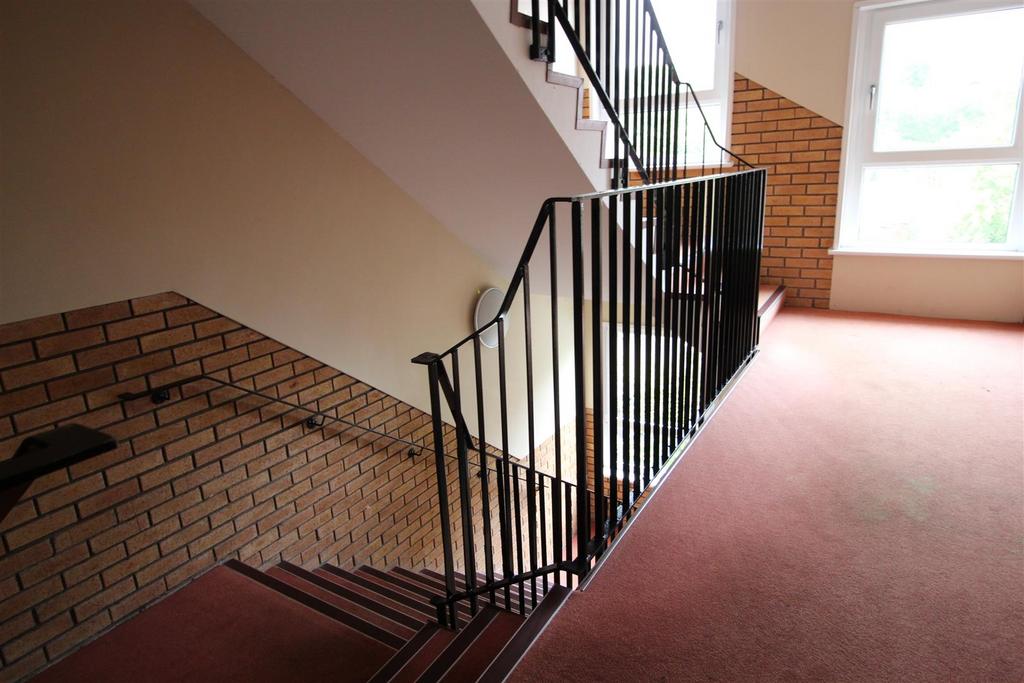 Img 3557.jpg
