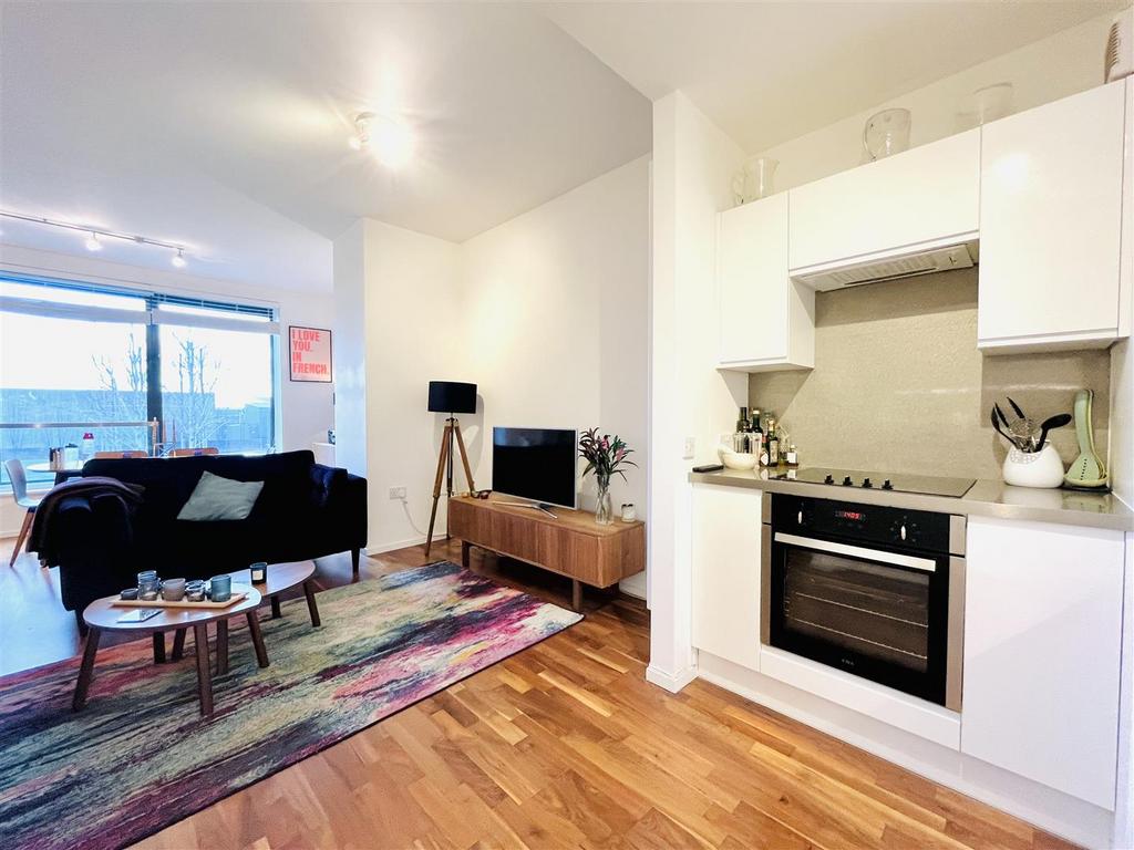 Living Room and Kitchen Area