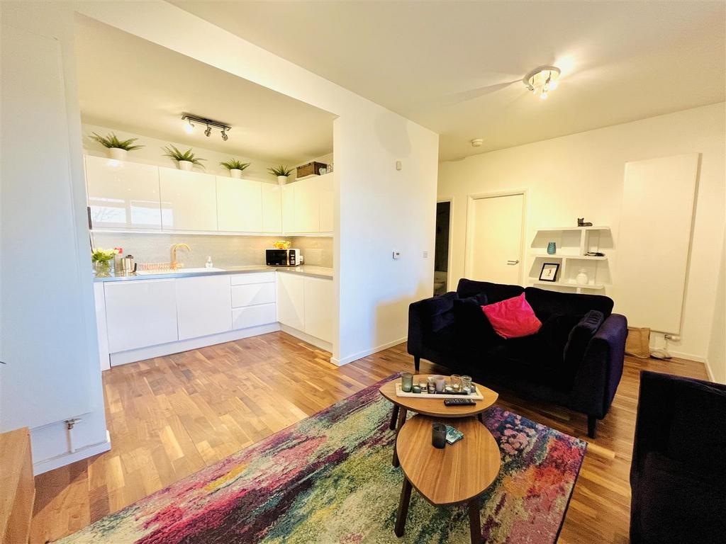 Living Room and Kitchen Area