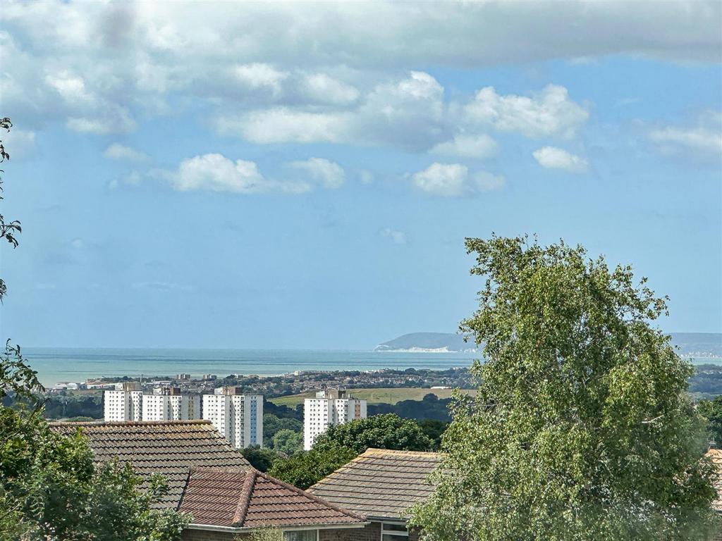 Image00001 Alto.jpg
