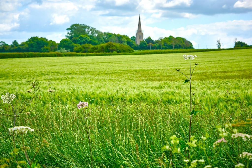 Thurleigh Countryside