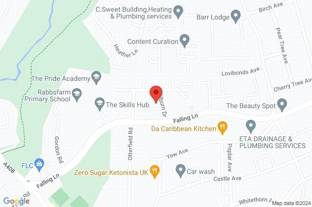 Google Maps Image
