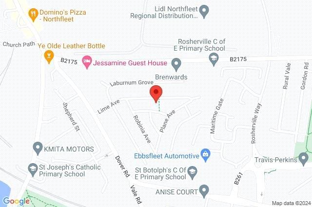 Google Maps Image