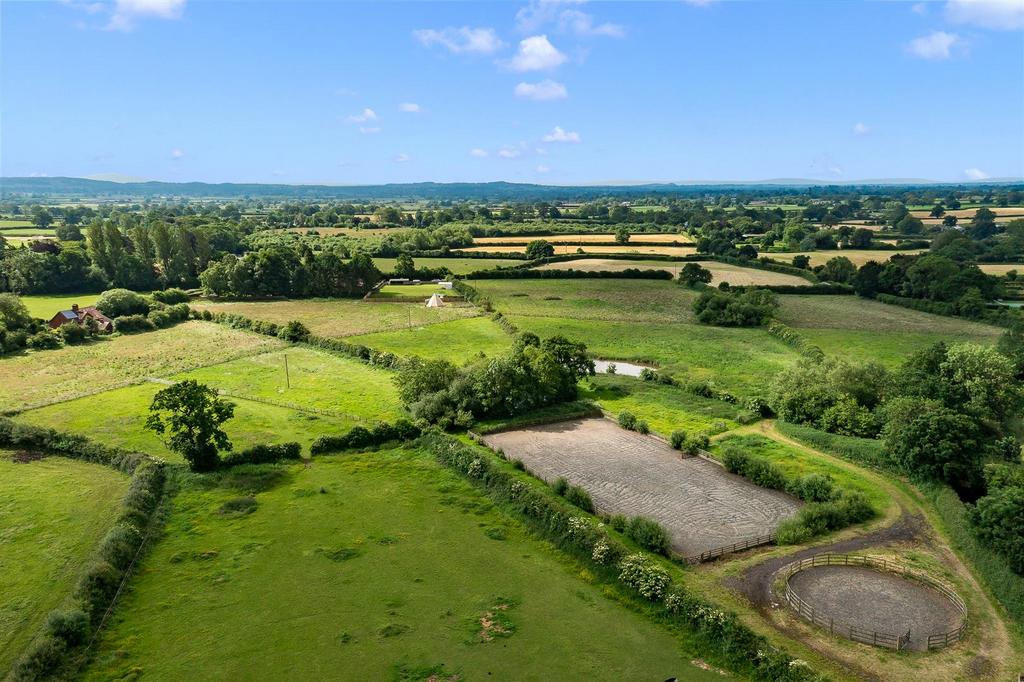 DJI 0513.jpg