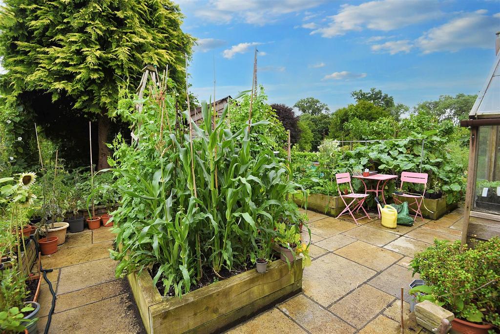 Vegetable Garden