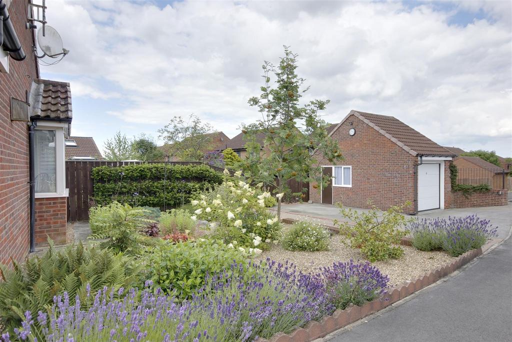 Driveway &amp; Garage