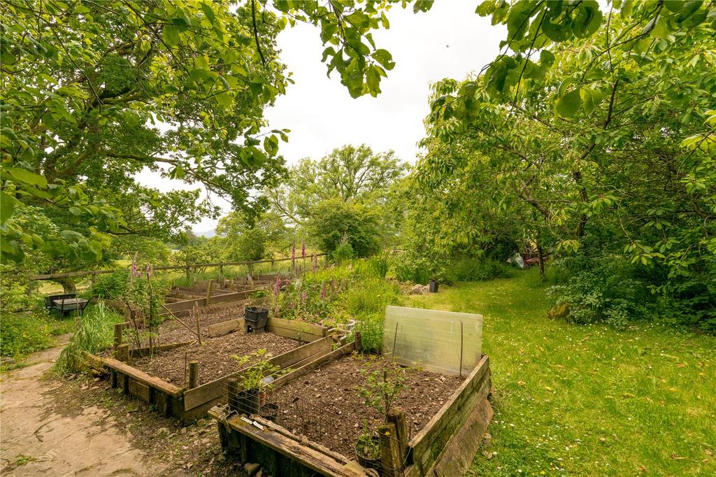 Vegetable Garden