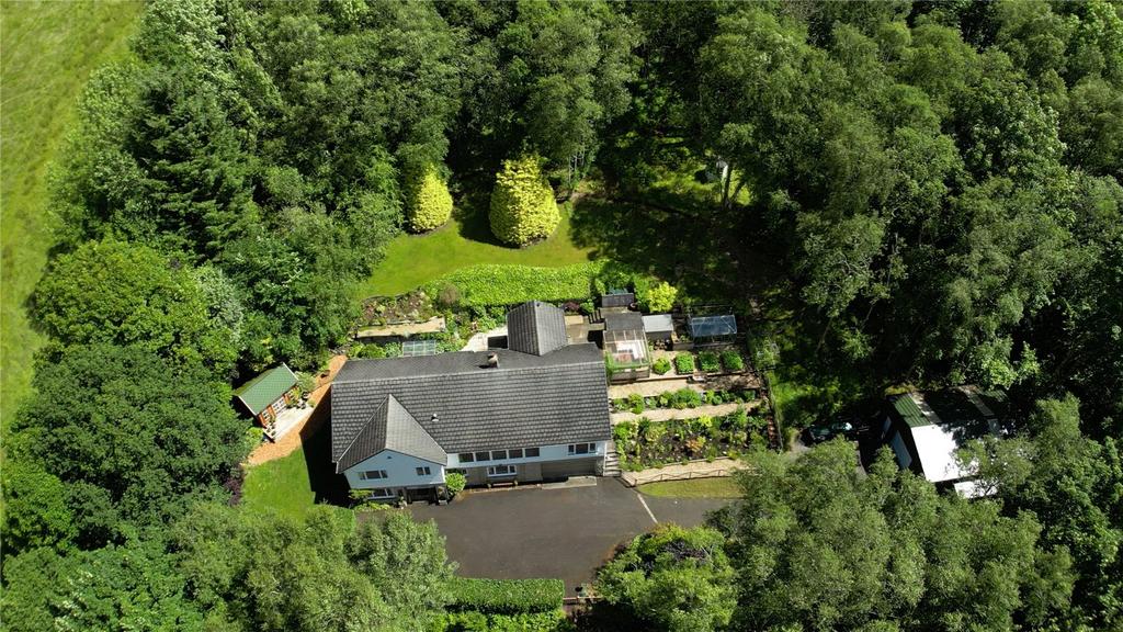 Overview