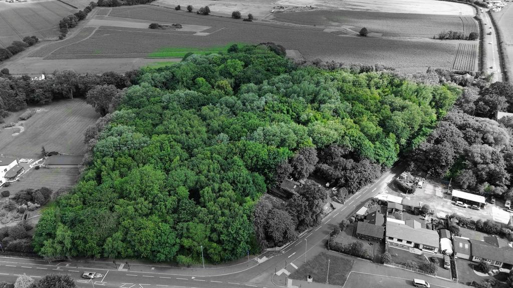 Warrington Road, Bold Heath, WA8 Land for sale £135,000