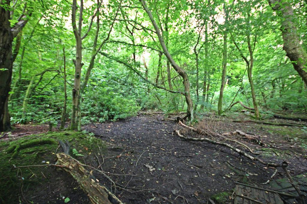 Warrington Road, Bold Heath, WA8 Land for sale £135,000