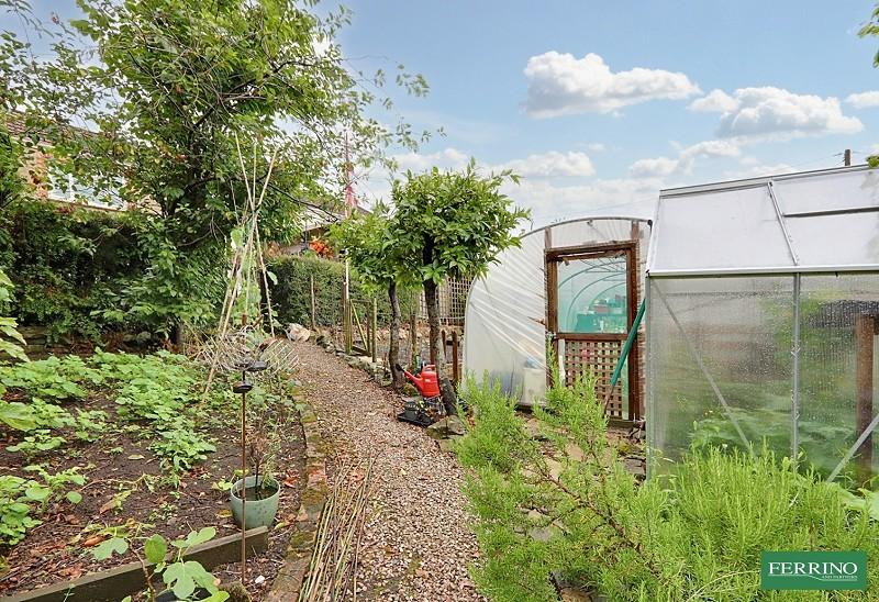 Vegetable Garden