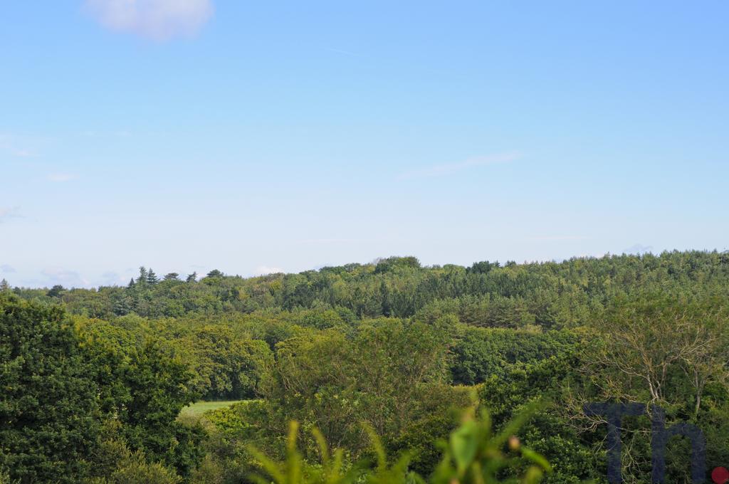 Views of Firestone Copse.JPG