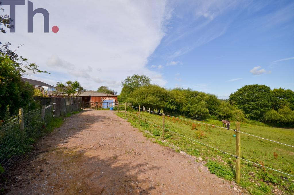 Track to Stables.JPG