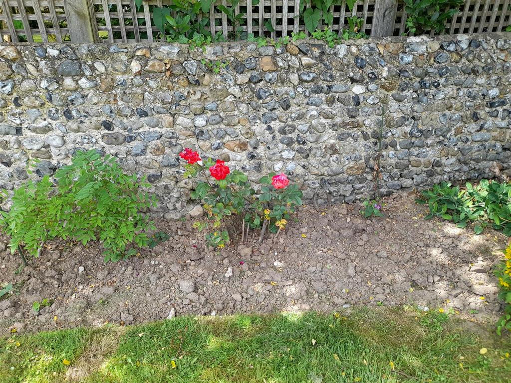 Rear garden 6.jpg