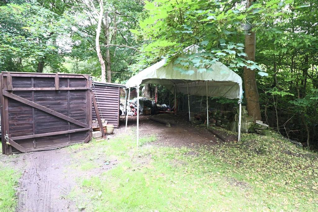 Img 0870.jpg