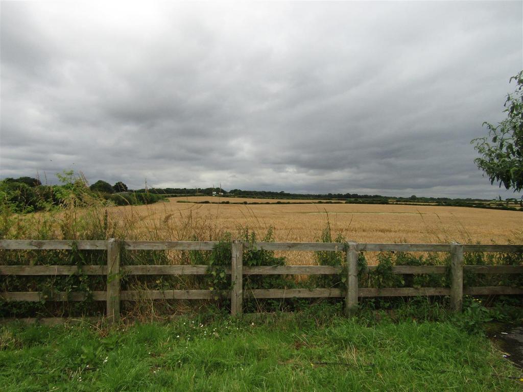 Img 6766.jpg