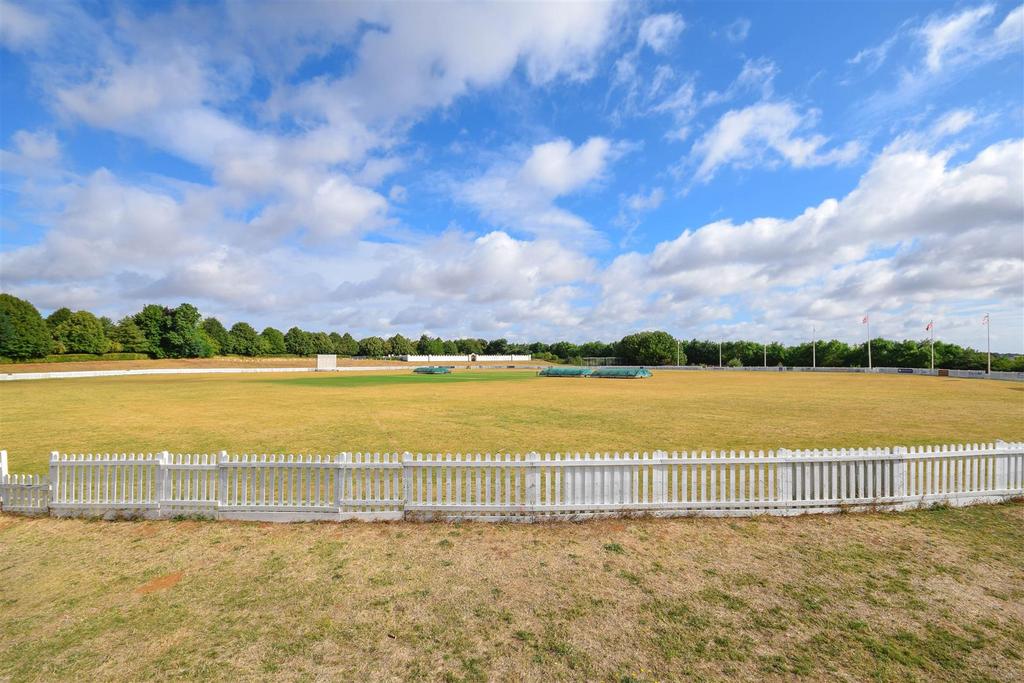 Cricket pitch