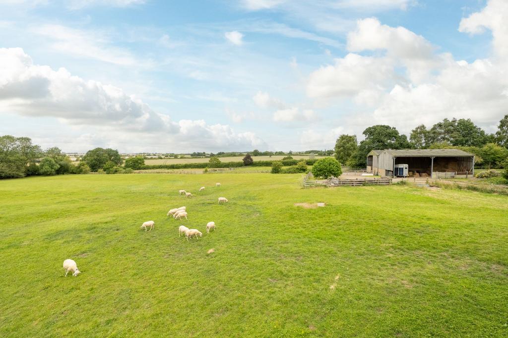 Paddocks