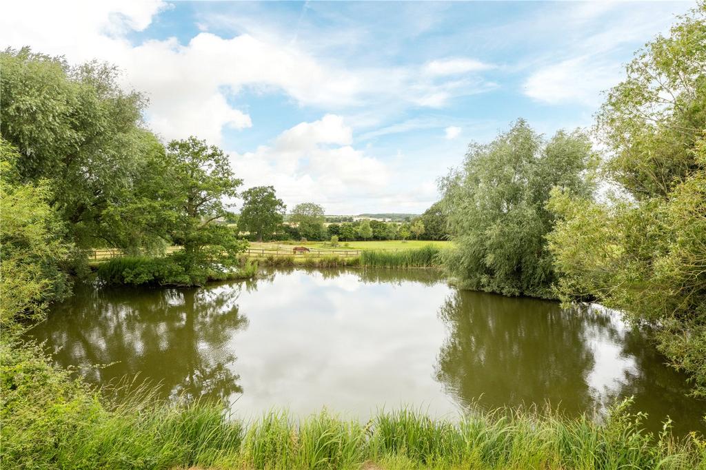 Pond