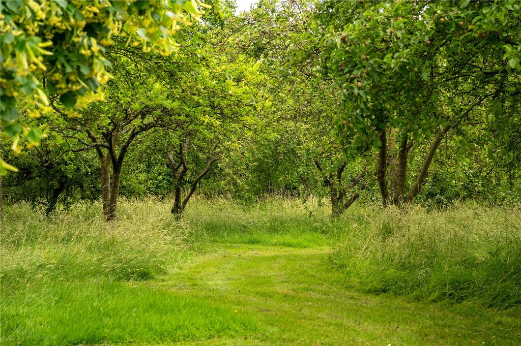 Orchard