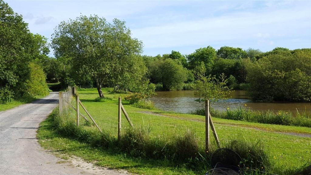 Main Entrance In And Ponds