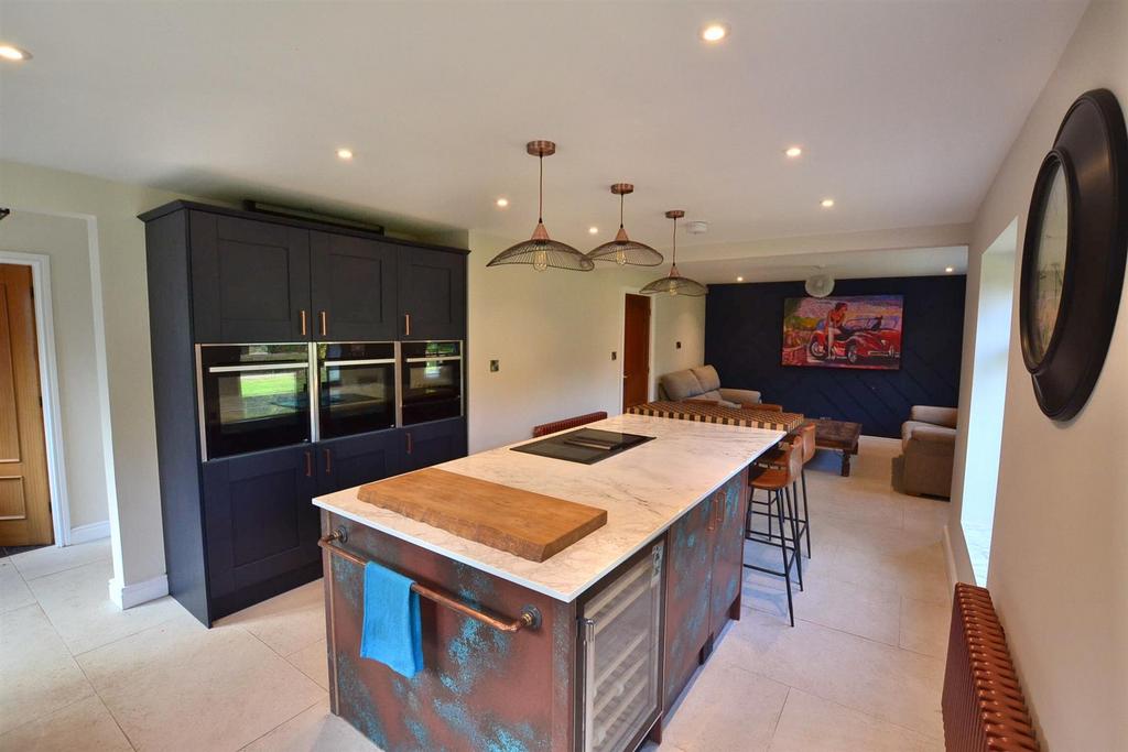 Open plan family living kitchen