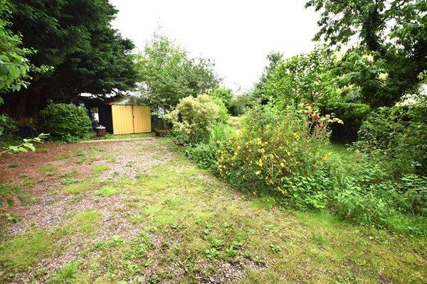 Driveway & garden