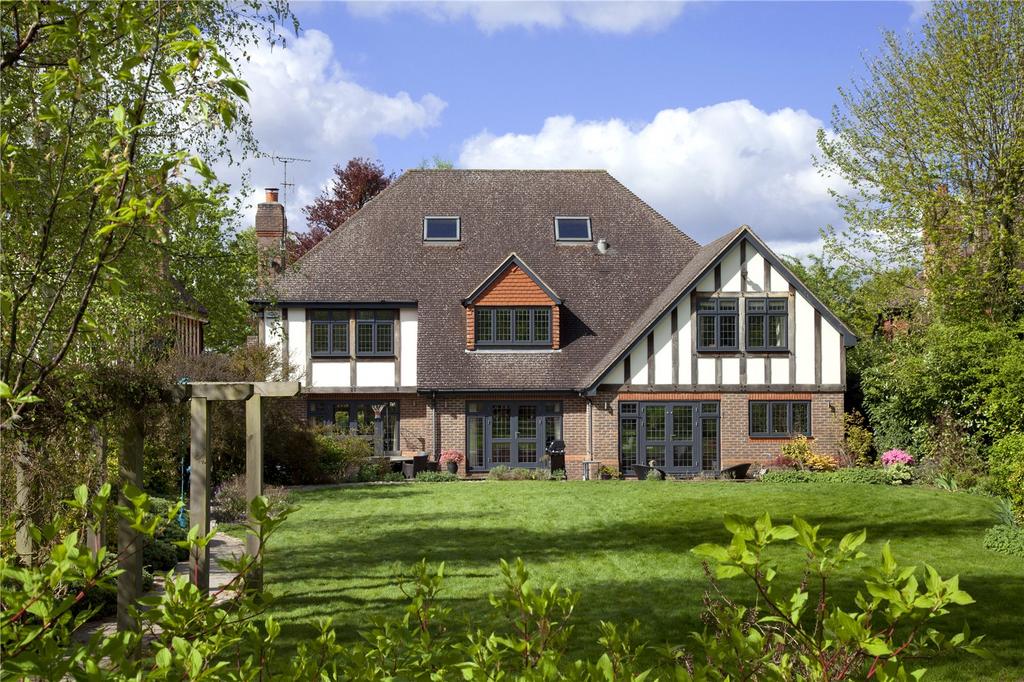 Rear Elevation