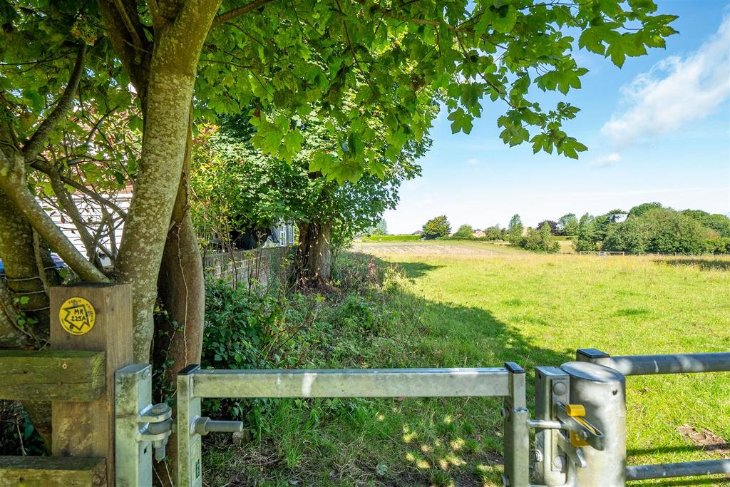 Footpath Opposite House.jpg