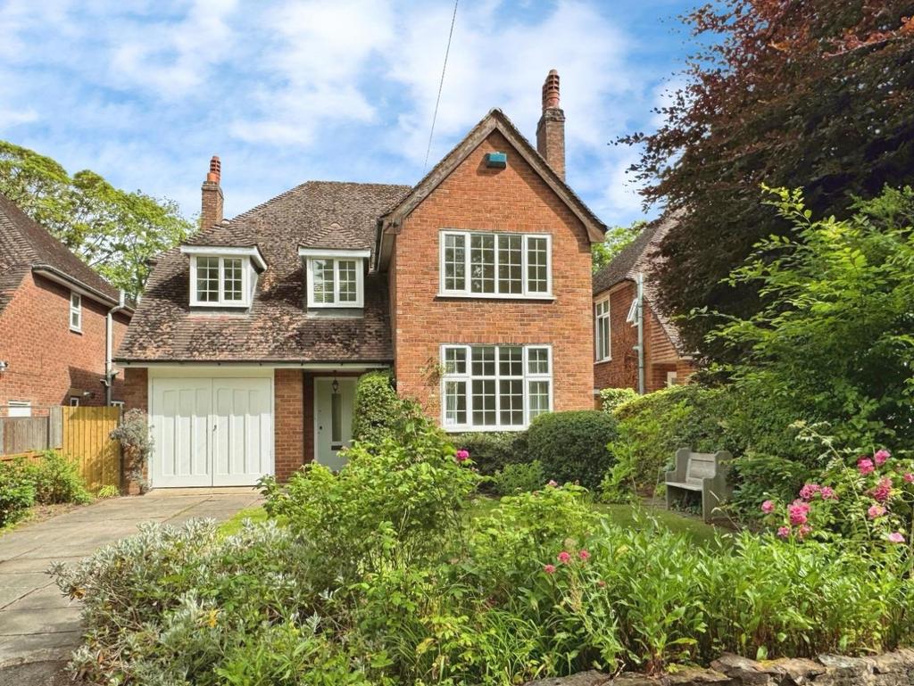 Editedimage-0ce1b051-1991-4a03-9510-734eac807823 2
