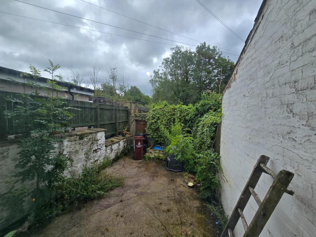 Rear Yard