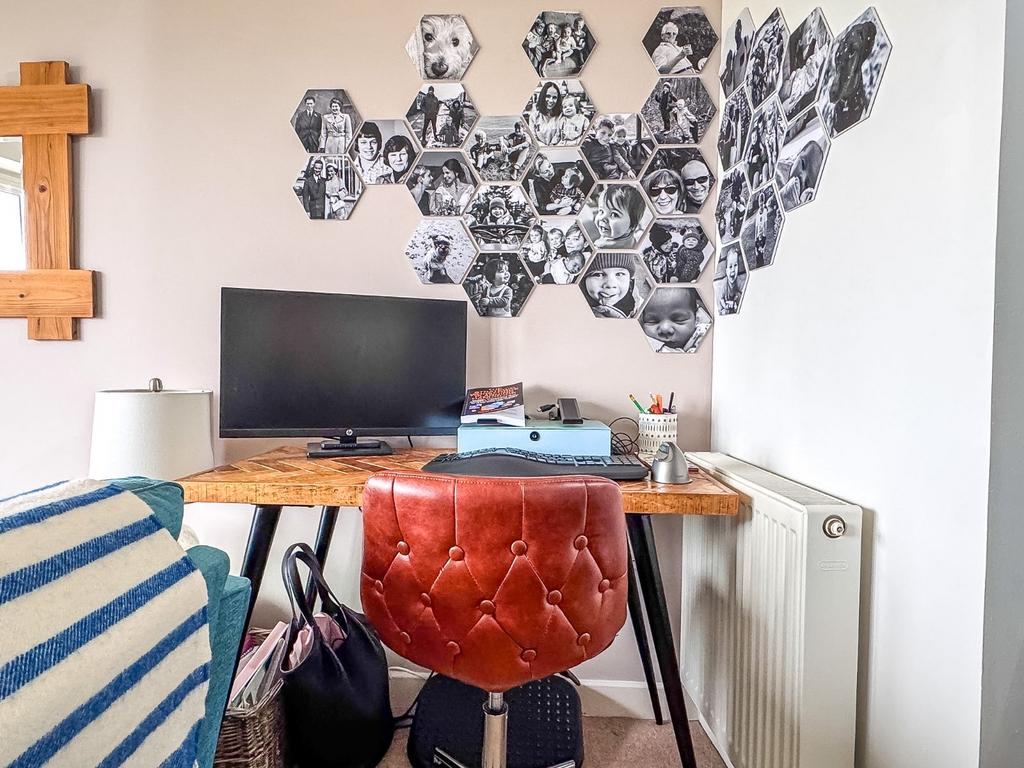 Study Area