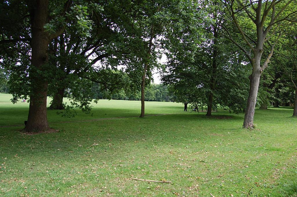 Views of South Park
