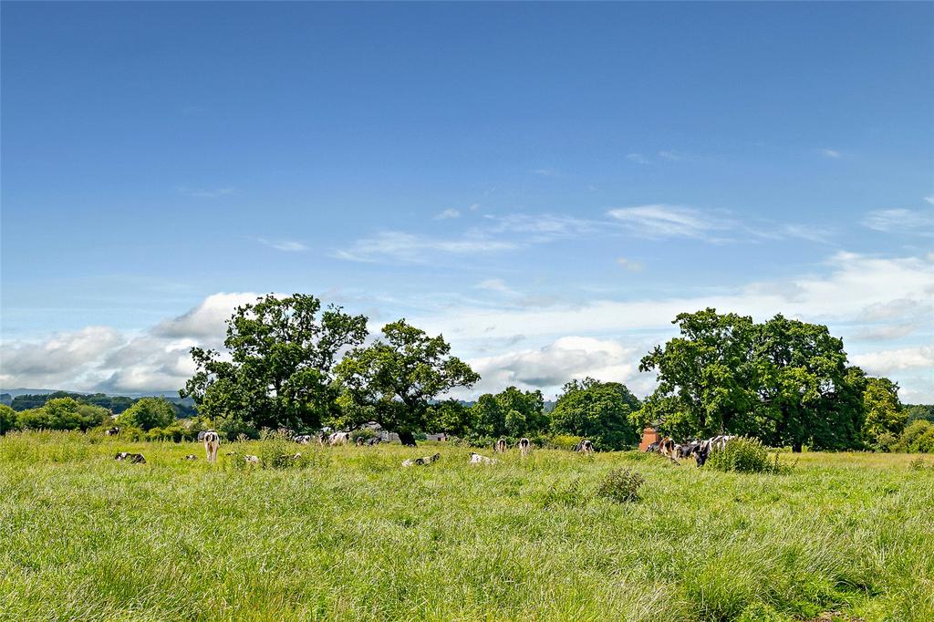Land