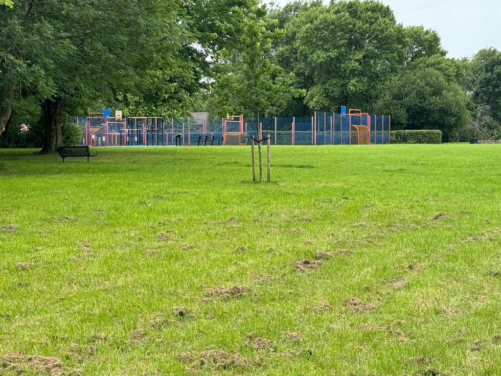Park / Next To The Property
