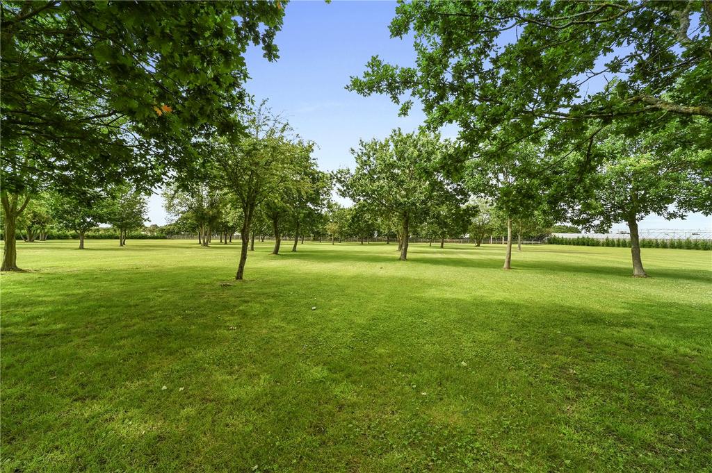 Grounds