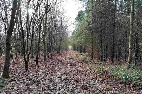 Land for sale, Rocky Lane, Churchill, Kidderminster