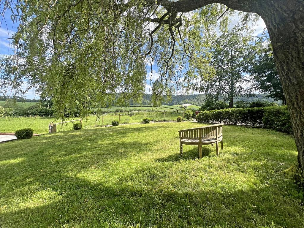 Willow Tree