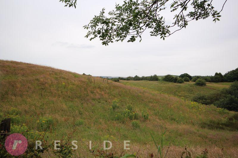Countryside Views