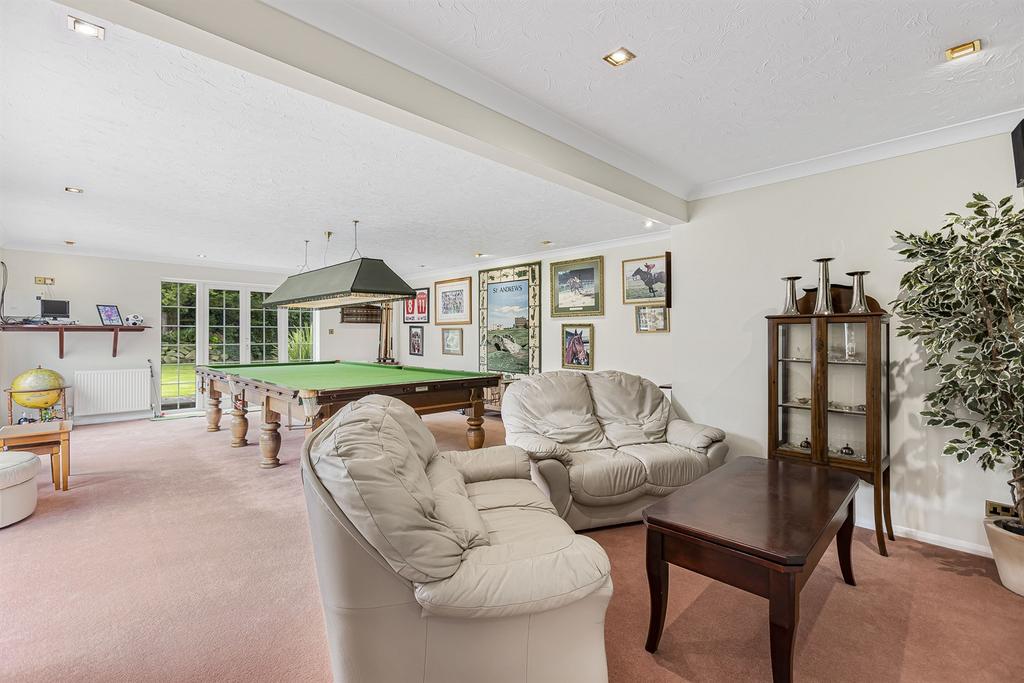 Snooker/Games Room