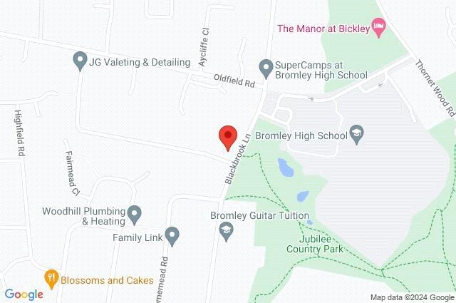 Google Maps Image