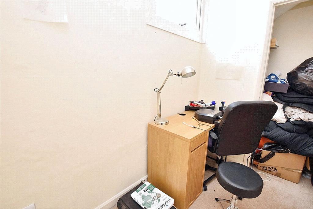 Study Area