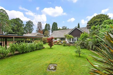 3 bedroom bungalow for sale, The Drive, Chichester, PO19