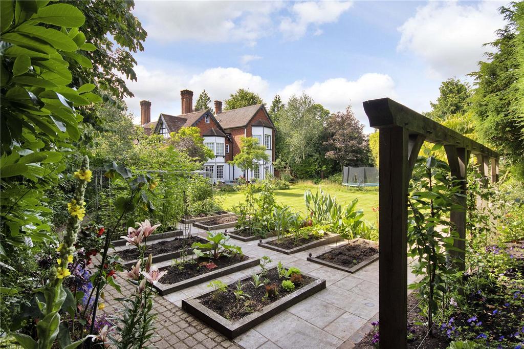 Vegetable Garden