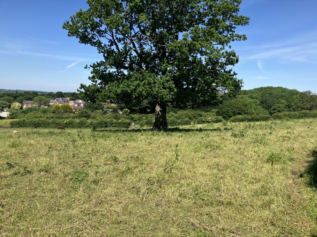 Land